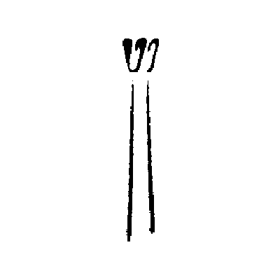 4929634_NEW