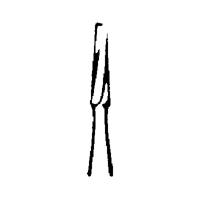 4929709_NEW