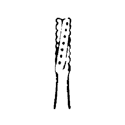 7352743_NEW