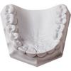 Plâtre orthodontique – super blanc, 33 lb