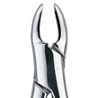 Forceps