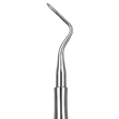 Root Tip Picks