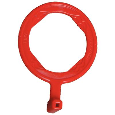 6164156_RingOnly