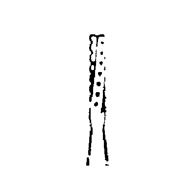 4929725_NEW