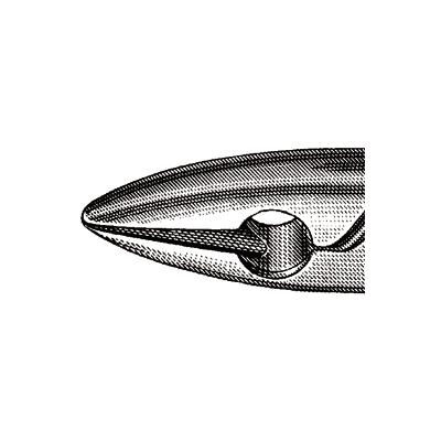 3706355_web