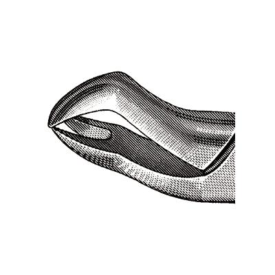 3706603_web