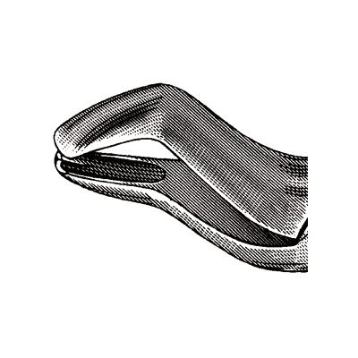 3706611_web