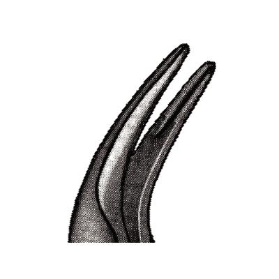3709169_web