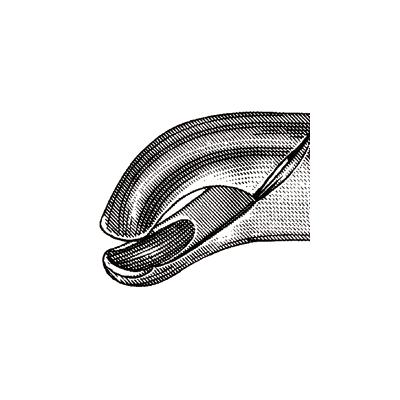 4978854_web