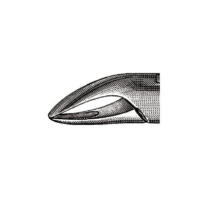 4978995_web