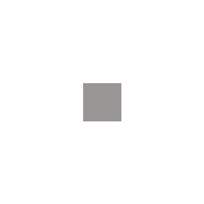 0957910_Silver