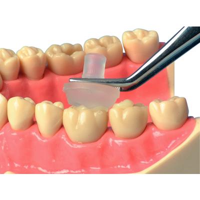 7658040