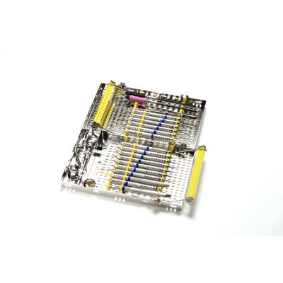 3716081
