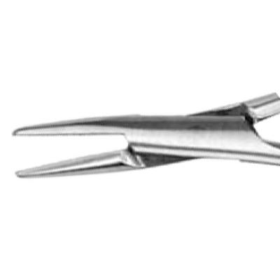 3758653_catalog