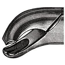 Davier – N° 17, 6-1/2"