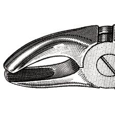 Davier – N° MD2, modèle Mead, 4-1/2", petit, universel