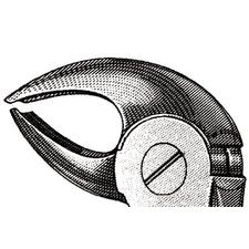 Extraire pince – nº MD3, Mead modèle, 4-1/2", Petite, universel
