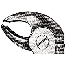Extraire pince – nº MD4, Mead modèle, 4-1/2", Petite, universel