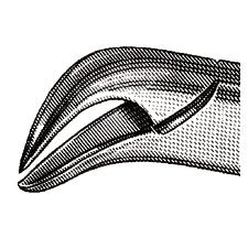 Extraire pince – nº 16, 4-1/2", Petite, corne de vache