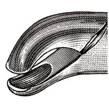 Davier – N° 24, universel