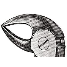 Extraire pince – n° 33, anglais modèle, 4-1/2", Petite