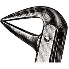 Davier – N° 74N, modèle anglais, 4-1/2", petit