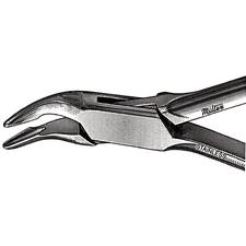 Pince-gouges – Blumenthal, 6", angle de 45°