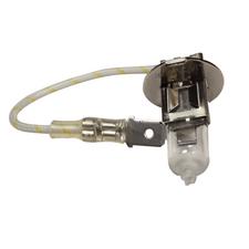 Halogen / 55 W / 12 V