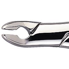 Extraire pince – nº 151, 6-1/2", antérieur, parallèles becs