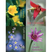 Floral Assortment Pack 4-Up Laser Postcard, 4-1/4" W x 5-1/2" H, 100/Pkg