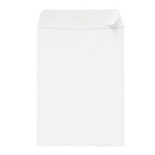 Sparco Peel and Seal Catalog Envelopes, 100/Box