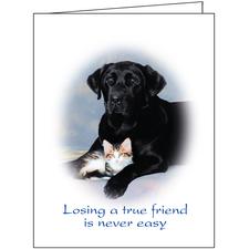 Photo Sympathy Card Assortment Pack, 4-1/4" x 5-1/2", 45/Pkg