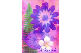 Flower and Leaf Postcard Assortment Packs