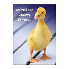 Animal Personalized Postcards, 100/Pkg