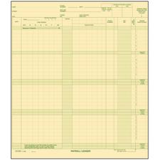 Safeguard Compatible Payroll Ledger Cards, 9-1/2" W x 11" H, 15/Pkg
