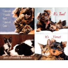 Pet Pals Laser Assortment Postcards