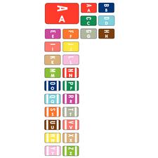 Smead® Alpha-Z™ Compatible Labels