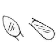 Spatules à sculpter – 126, interproximal, manche standard, double extrémité