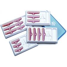 Directa® Polycarbonate Temporary Crowns – Crown Kit, Sizes 1-6