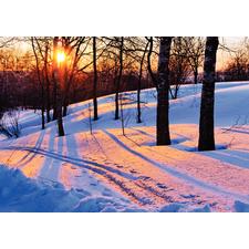 Winter 4-Up Laser Postcard, 100/Pkg