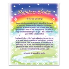 Starlight Sympathy Card Assortment Pack, 4-1/4" W x 5-1/2" H, 45/Pkg