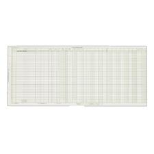 Safeguard Compatible Dual Purpose Journal Sheets, 25-3/8" W x 11" H, 15/Pkg