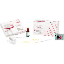 EQUIA® Forte Bulk Fill Restorative System, Coat