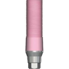 AnyRidge CCM Abutments, 1/Pkg