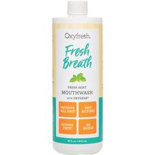 Fresh Breath Fresh Mint Mouthwash