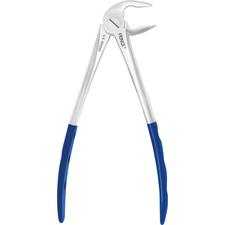 Pince d’extraction FRINGS® – Ash biseautée, antérieure inférieure