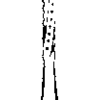 Standard Operatory Carbide Burs – FG - Straight Fissure Flat End Crosscut, # 558, 1.2 mm Diameter, 3.8 mm Length, 100/Pkg