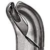 Davier – N° 18R, droite - Extracting Forceps – # 18R, Right