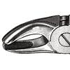 Davier – N° MD2, modèle Mead, 4-1/2", petit, universel - Extracting Forceps – # MD2, Mead Pattern, 4-1/2", Petite, Universal