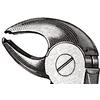 Extraire pince – nº MD4, Mead modèle, 4-1/2", Petite, universel